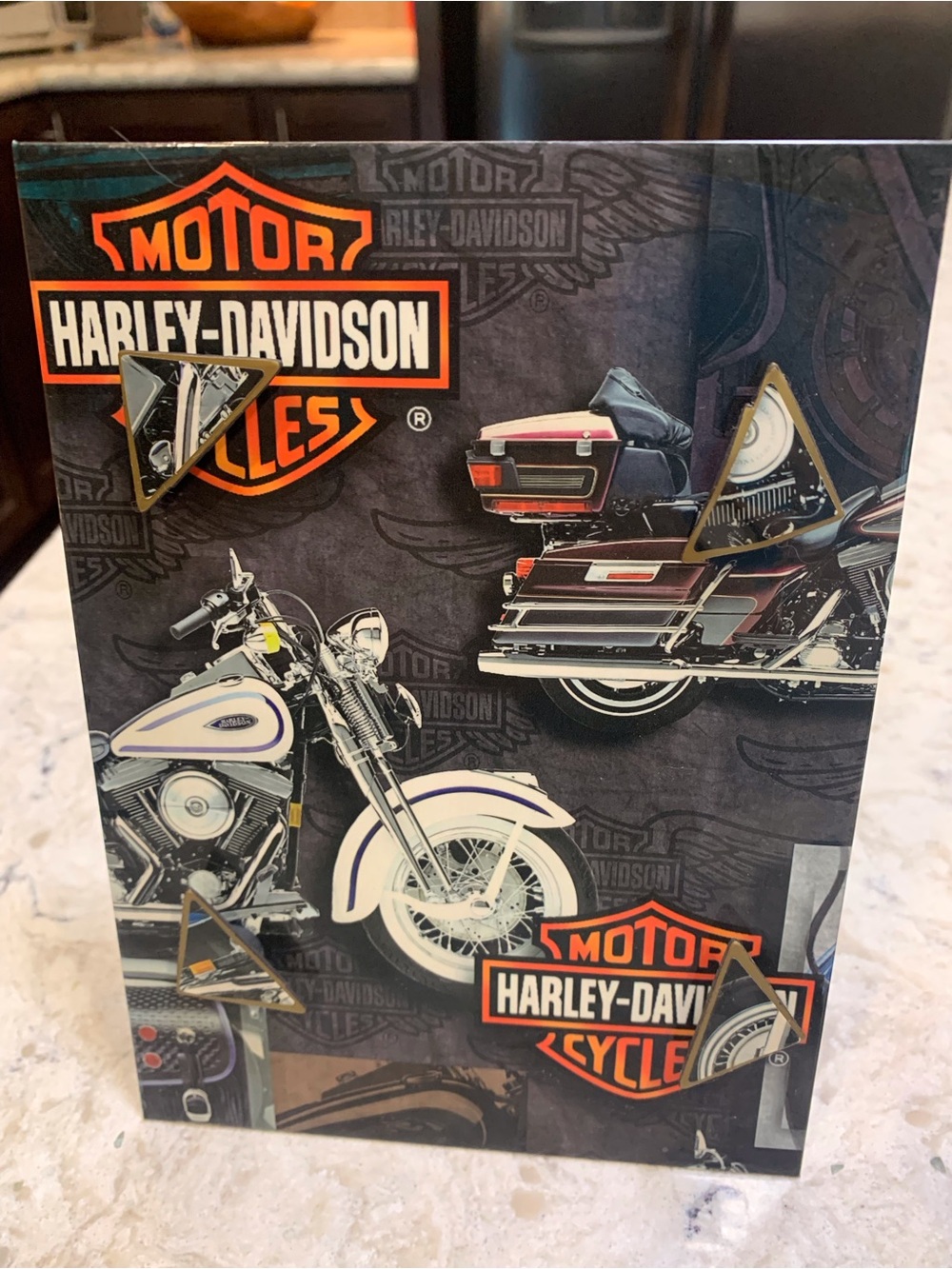 Harley-Davidson Black and Orange Motorcycle Picture Frame